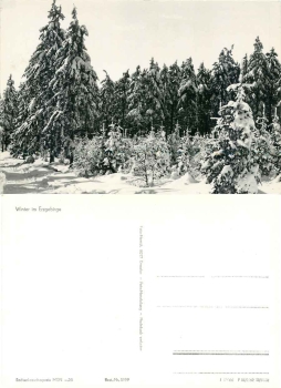 Winter forest in the Ore Mountains *1966 Hanich1999