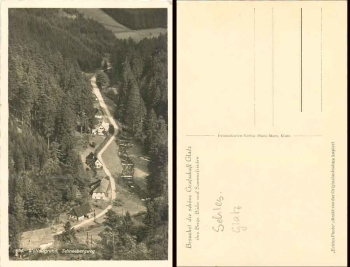 Wolfelsgrund Schneebergweg Grafschaft Glatz *ca. 1930