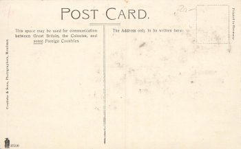 Zanzibar Clove Avenue * um 1910