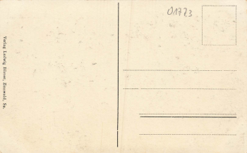 01773 Zinnwald Erzgebirge Gasthof "zum Saechsischen Reiter" * um 1920