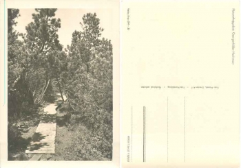01773 Zinnwald Georgenfelder raised bog  *1957 Hanich oN