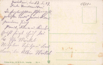 Zwickau Sachsen Innere Plauensche Strasse gebraucht 1917