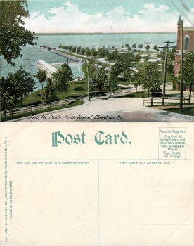 Pennsylvania Erie Chestnut Str. *ca.1910