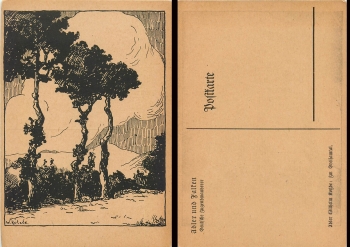Wandering birds eagles and falcons artist's card Wilhelm Kotzde im Dreisamtal * around 1920