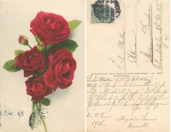 Bouquet with dark red roses o 3.6.1913
