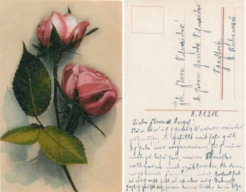 red roses 3/1/1918