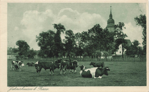 01594 Jahnishausen Riesa Kirche *ca. 1930