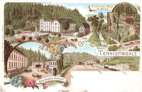 01723 Taennichtmuehle Wilsdruff Restaurant Bahnhof Herzogswalde Litho * um 1900