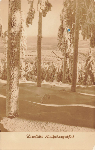 01728 Goppeln-Kauscha Landpoststempel o 1959 auf Neujahrskarte