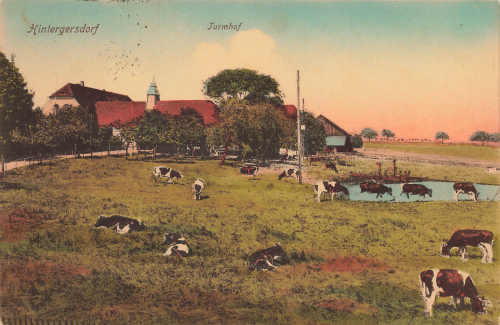 01737 Hintergersdorf Kurort Hartha Tharandt Turmhof with cow pasture o 1918
