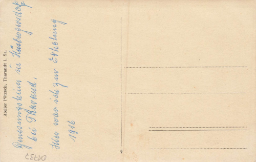 01737 Hintergersdorf Kurort Hartha Tharandt Genesungsheim mit Kuhweide * 1916