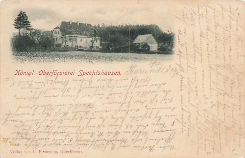 01737 Spechtshausen Kurort Hartha Tharandt Oberförsterei o1902