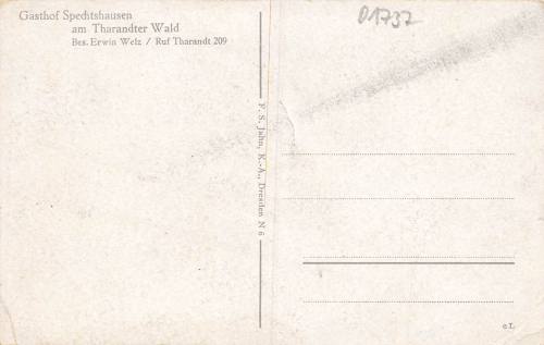 01737 Spechtshausen Kurort Hartha Tharandt Waldweg * um 1940