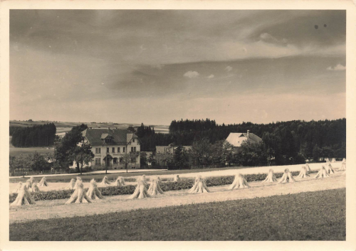 01774 Friedersdorf Klingenberg Erzgebirge * 1957