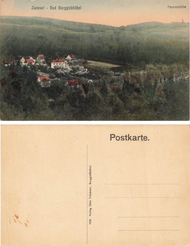 01816 Zwiesel Bad Berggiesshuebel Panorama * um 1920