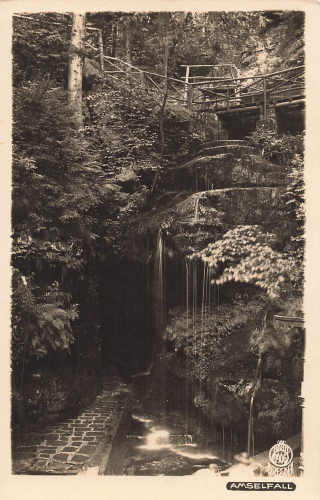 01848 Hohnstein Amselfall Hahn-Foto2906 * um 1930