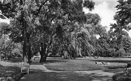 04924 Bad Liebenwerda Park des Moorbades o 1965
