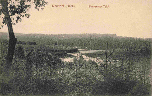 06493 Neudorf Harz Harzgerode Birnbaumerteich * um 1910