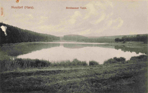 06493 Neudorf Harz Harzgerode Birnbaumerteich * 1915