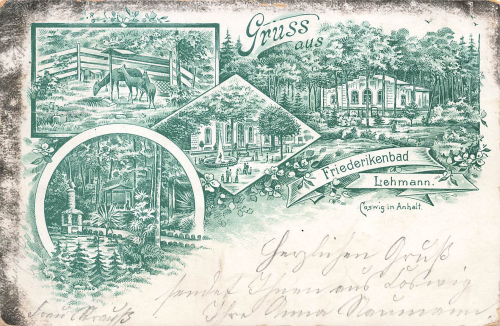 06869 Coswig Friederikenbad Lehmann Litho o 1898