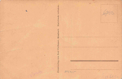 07907 Mossbach Bahnhof Geschäft Vielhauer * um 1920