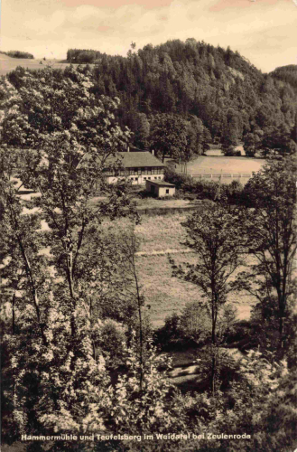 07955 Auma-Weidatal Hammermühle * 1964
