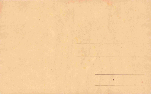 07973 Neumühle Elster Cafe Edelweiss * um 1920