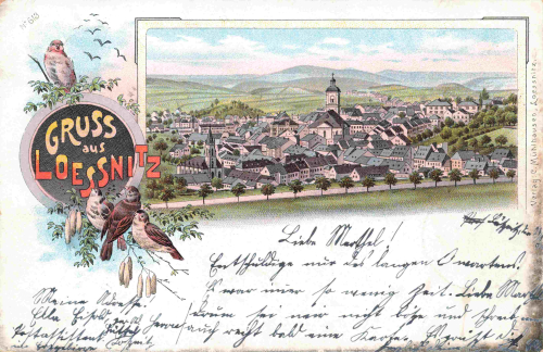 08294 Lössnitz Erzgebirge Gruss aus... Litho o 1900