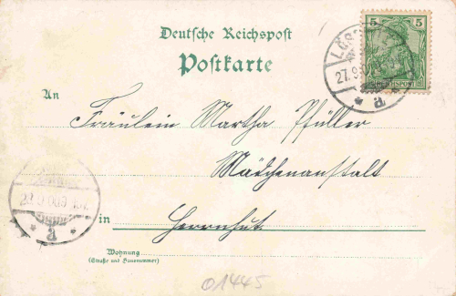 08294 Lössnitz Erzgebirge Gruss aus... Litho o 1900