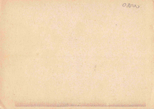 08538 Burgstein, Vogtland – Artist-signed postcard by A. Herold, c. 1930, Vogtland, with map * circa 1910