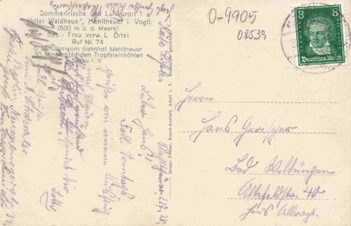 08539 Mehltheuer Vogtland Hotel Waldhaus o 1928