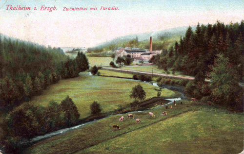09380 Thalheim Erzgebirge Zwönitzthal mit Paradies o 1911