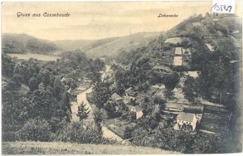 Cossebaude Dresden mit Liebenecke o 17.06.1918