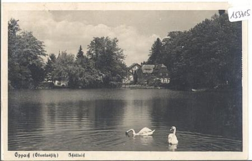 Oppach Ortsteich mit Schwänen gebr. ca. 1930