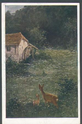 Watermill in the moonlight, artist card A. Fred, * approx. 1910