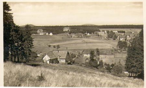 38875 Tanne gebraucht ca. 1930
