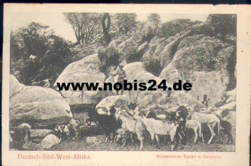 Epako water point near Omaruru with goats *approx. 1900