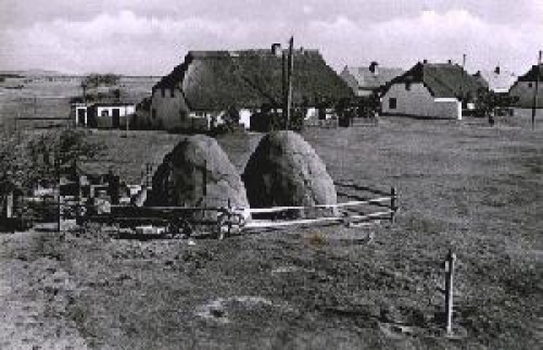 18565 Insel Hiddensee, Neuendorf, Bauern- und Fischerhäuser, * ca. 1960