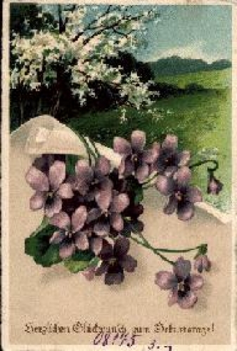 Violet * ca. 1920