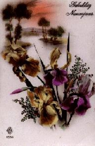Orchids with landscape used 1927