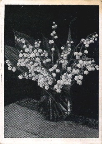 Lily of the valley flowers used circa 1940