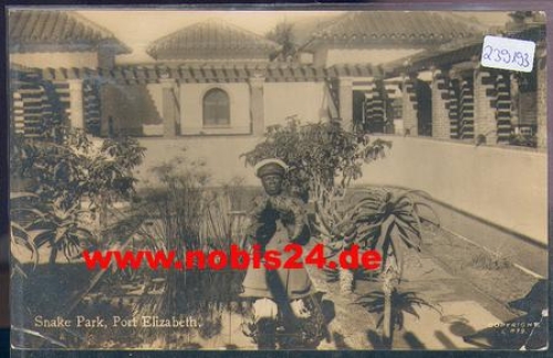 Snake in the snake park real photo o 12.12.1927