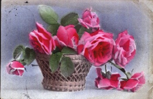 Roses in a basket o April 27, 1916