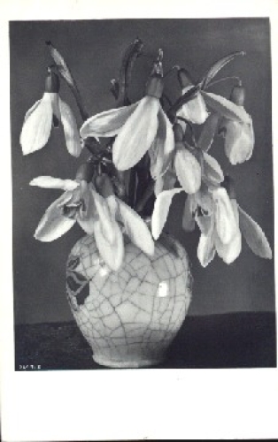 Snowdrops in a vase, used circa 1930