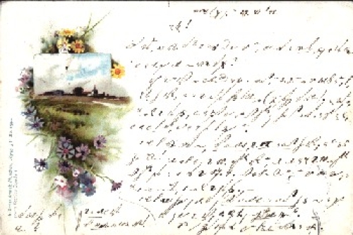 Sommerblumen Landschaft o 30.8.1899