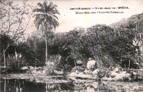 Rio de Janeiro Jardin Botanique Brasilien *ca. 1920