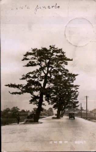 Osaka real photo * approx. 1930