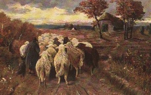 Schafe Künstlerkarte Berger o 17.4.1930
