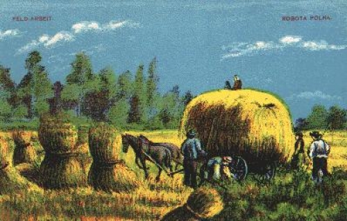 Landwirtschaft, Feldarbeit, Künstlkerkarte gebr. 1917