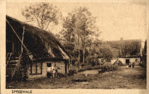 Spreewald, Bauernhof mit Kuh, * ca. 1920